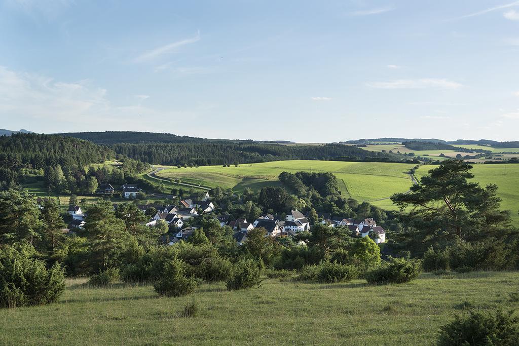 Zum Pinken Schaf Apartment Ahrdorf