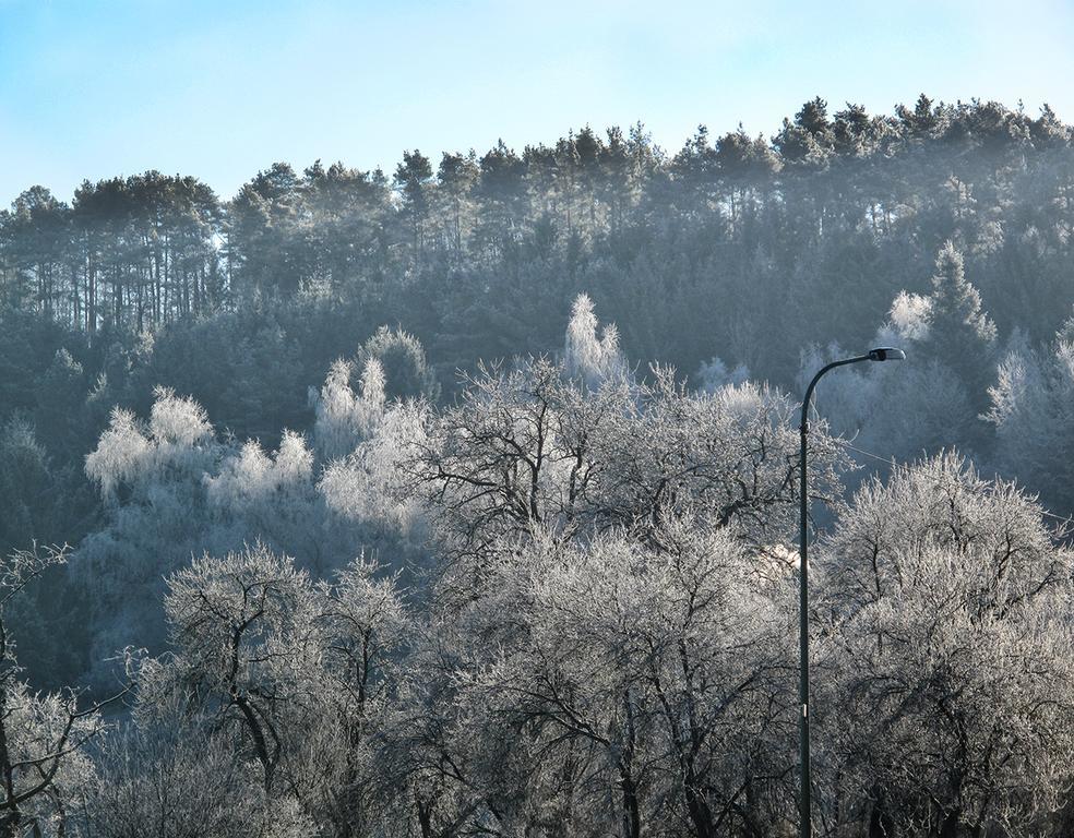 Zum Pinken Schaf Ahrdorf
